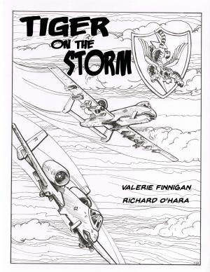 Cover of Tiger on the Storm #1