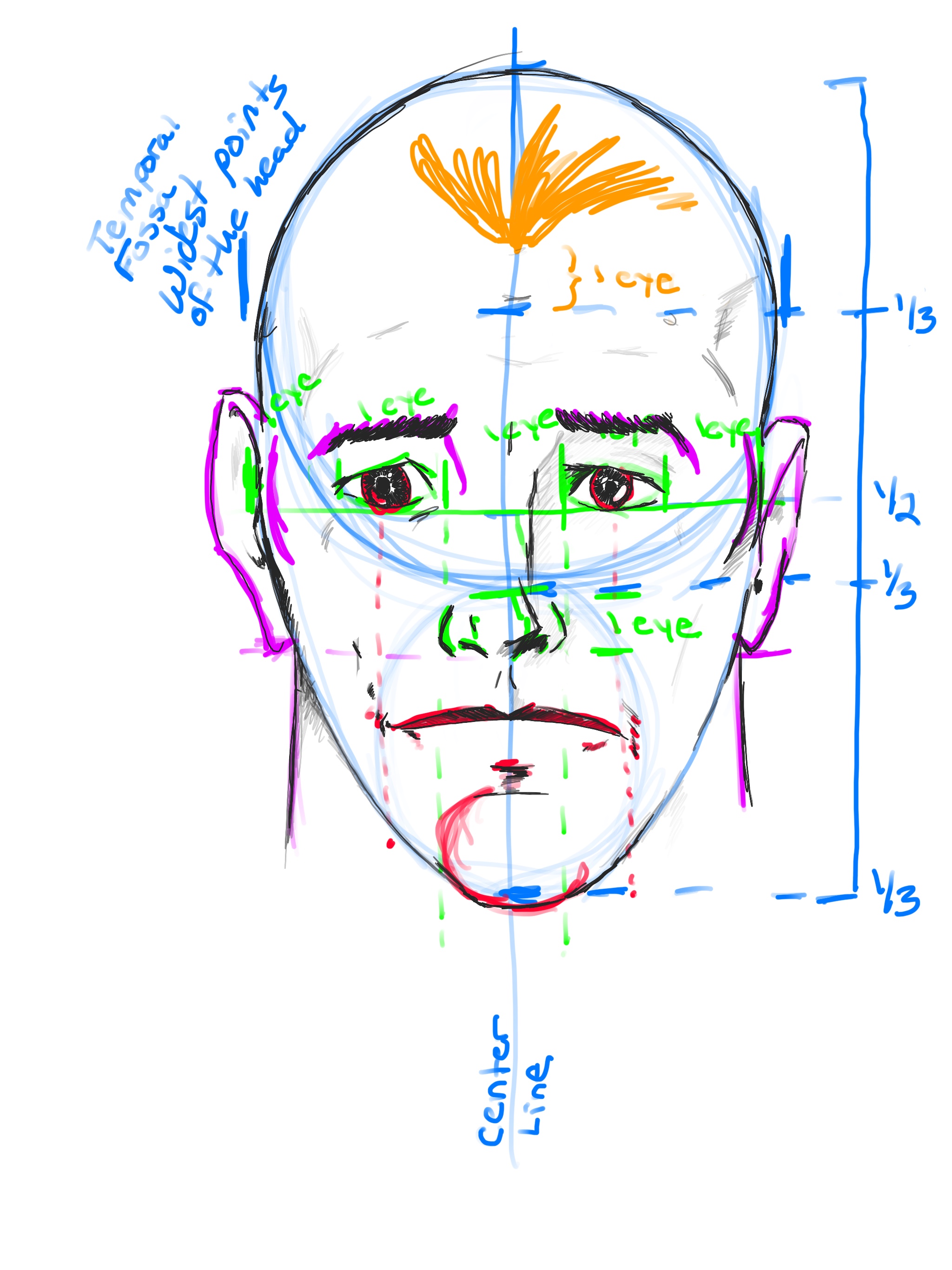 How to draw the Human Face step 6
